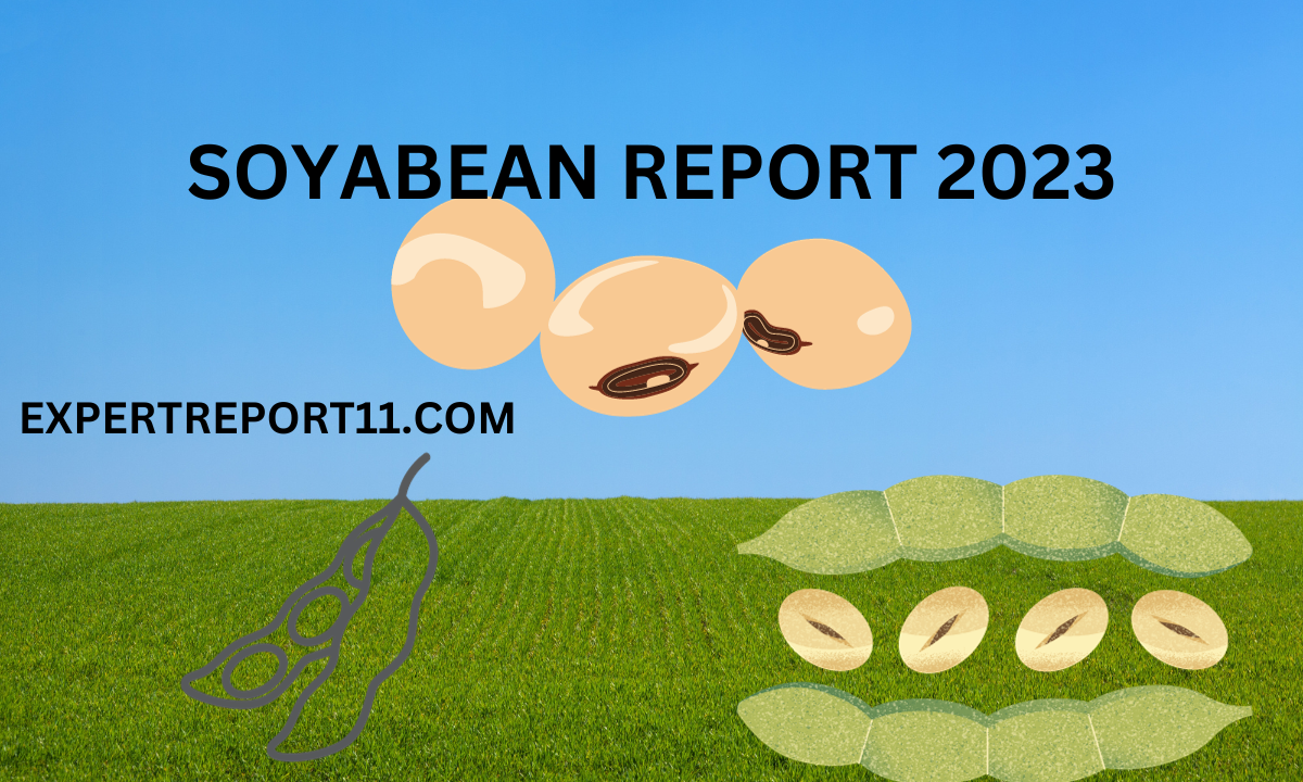  Soyabean Rate